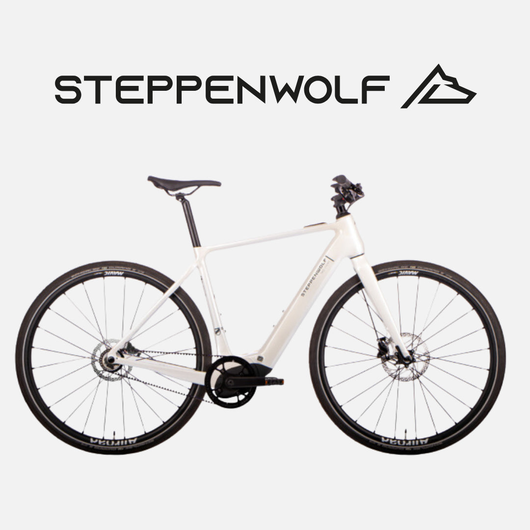 STEPPENWOLF URBAN E-BIKE TAO LIGHT
