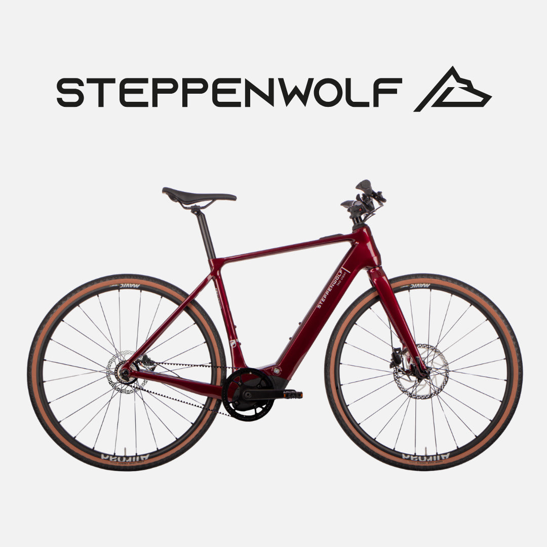 STEPPENWOLF URBAN E-BIKE TAO LIGHT