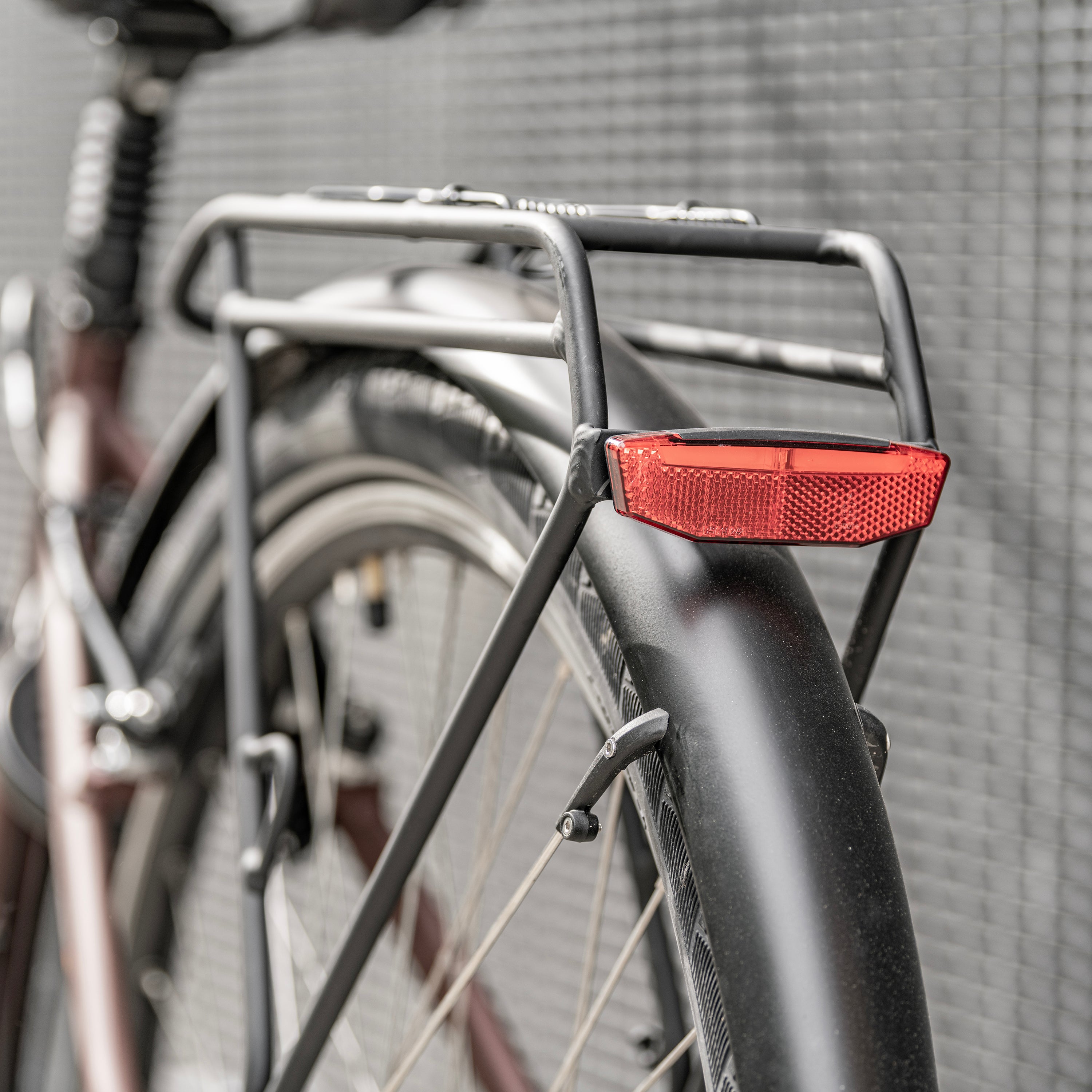 Rear Rack Detail