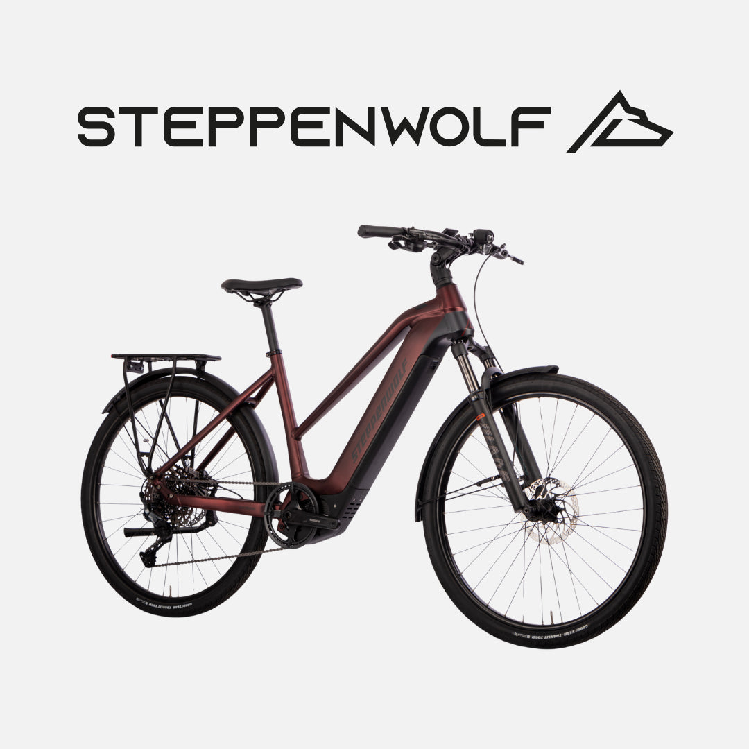 STEPPENWOLF E-BIKE TRANSTERRA COMFORT 6.1