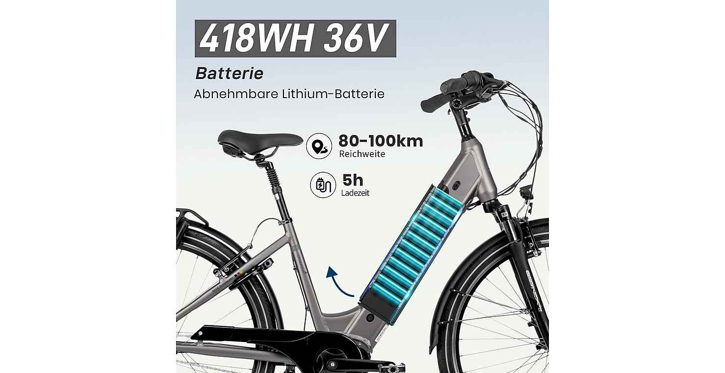SAXXX E-bike Optimum Plus Wave, Mittelmotor, 28''