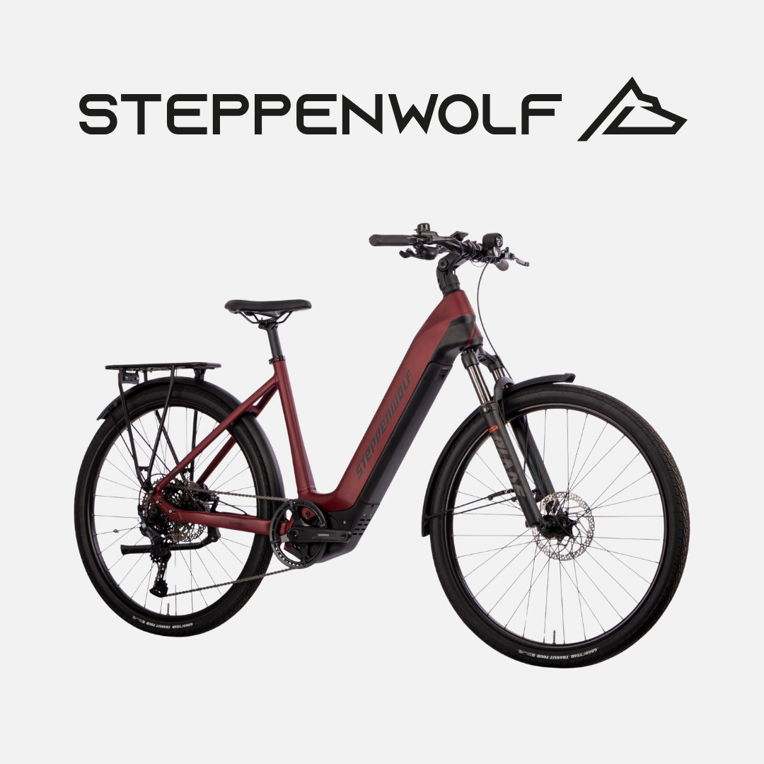 STEPPENWOLF E-BIKE TALIS WAVE 6.1
