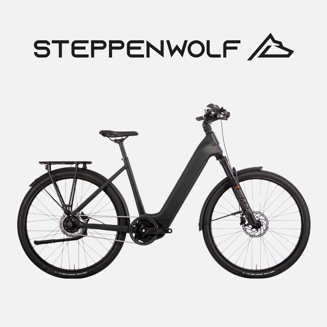 STEPPENWOLF E-BIKE TALIS WAVE 6.5