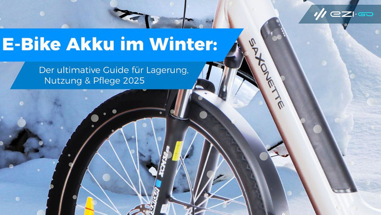 E-Bike Akku im Winter: Der ultimative Guide für Lagerung, Nutzung & Pflege 2025