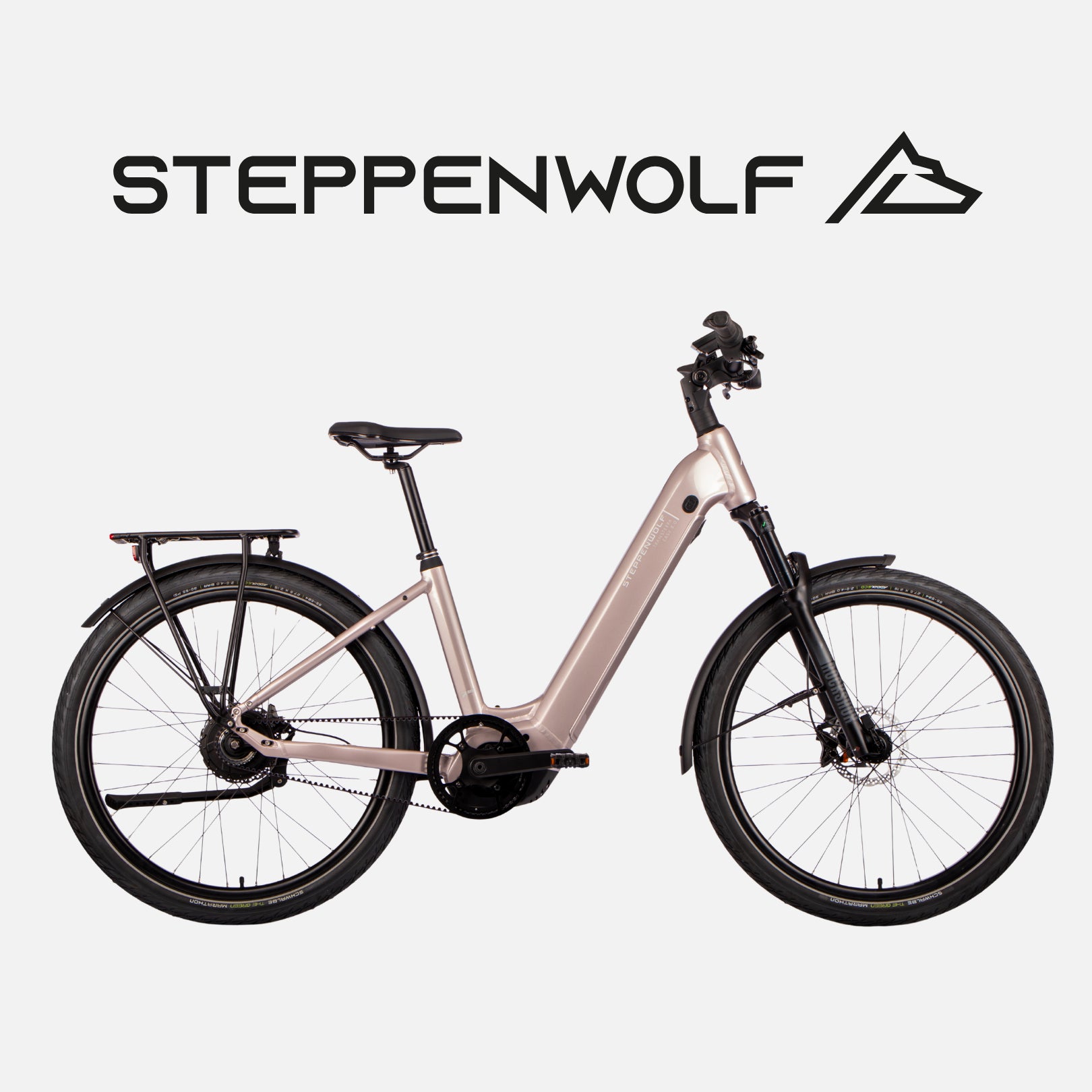 STEPPENWOLF E-BIKE TRANSTERRA EASY 8