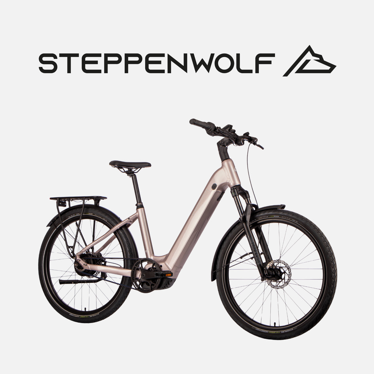 STEPPENWOLF E-BIKE TRANSTERRA EASY 8
