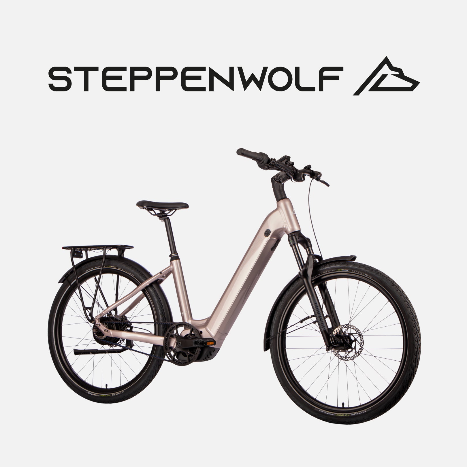 STEPPENWOLF E-BIKE TRANSTERRA EASY 8