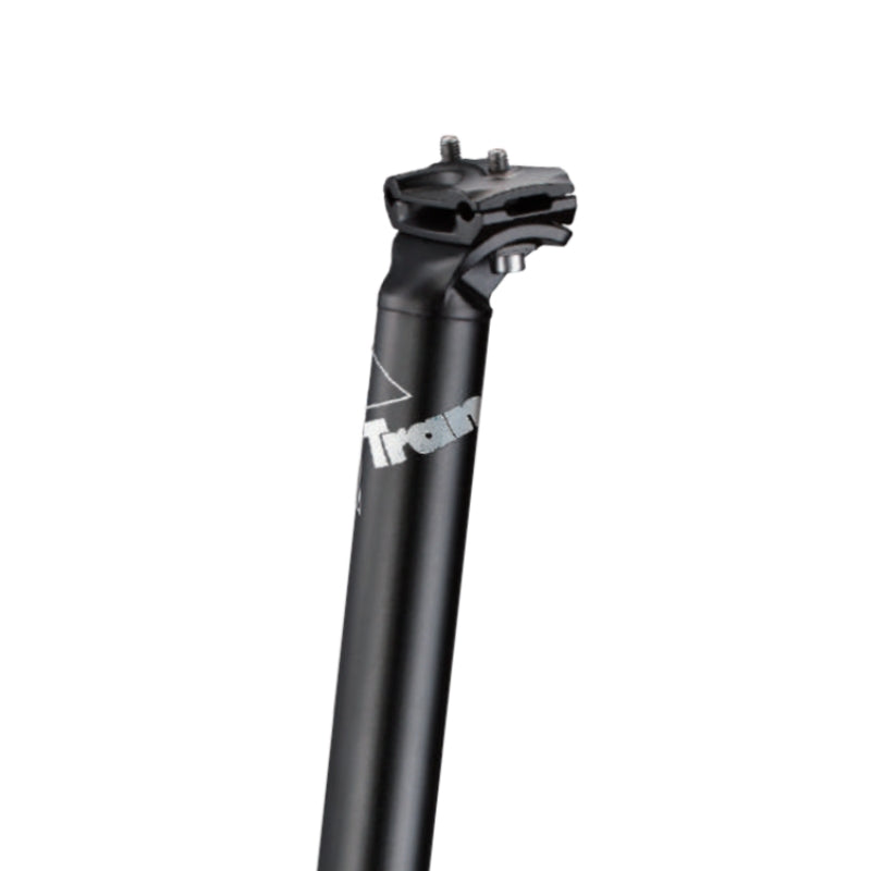 Sattelstütze - für Steppenwolf EBIKE - 31,6 × 350 mm