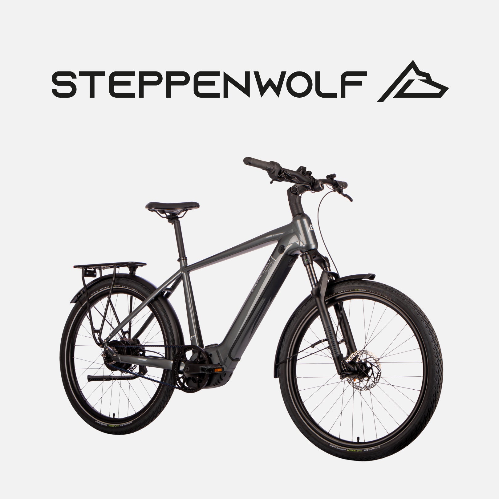 STEPPENWOLF E-BIKE TRANSTERRA SPORT 8