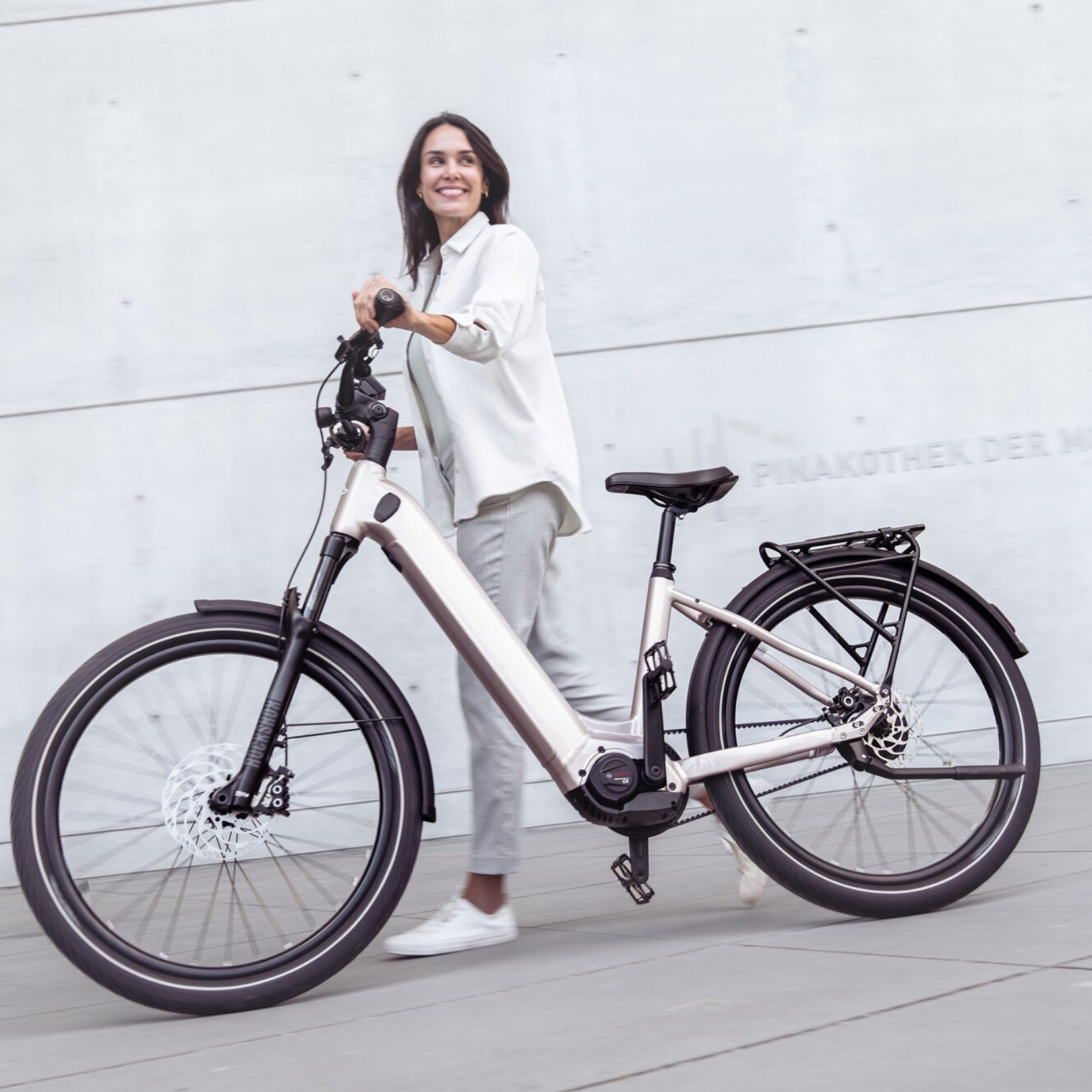 STEPPENWOLF E-BIKE TRANSTERRA EASY 8