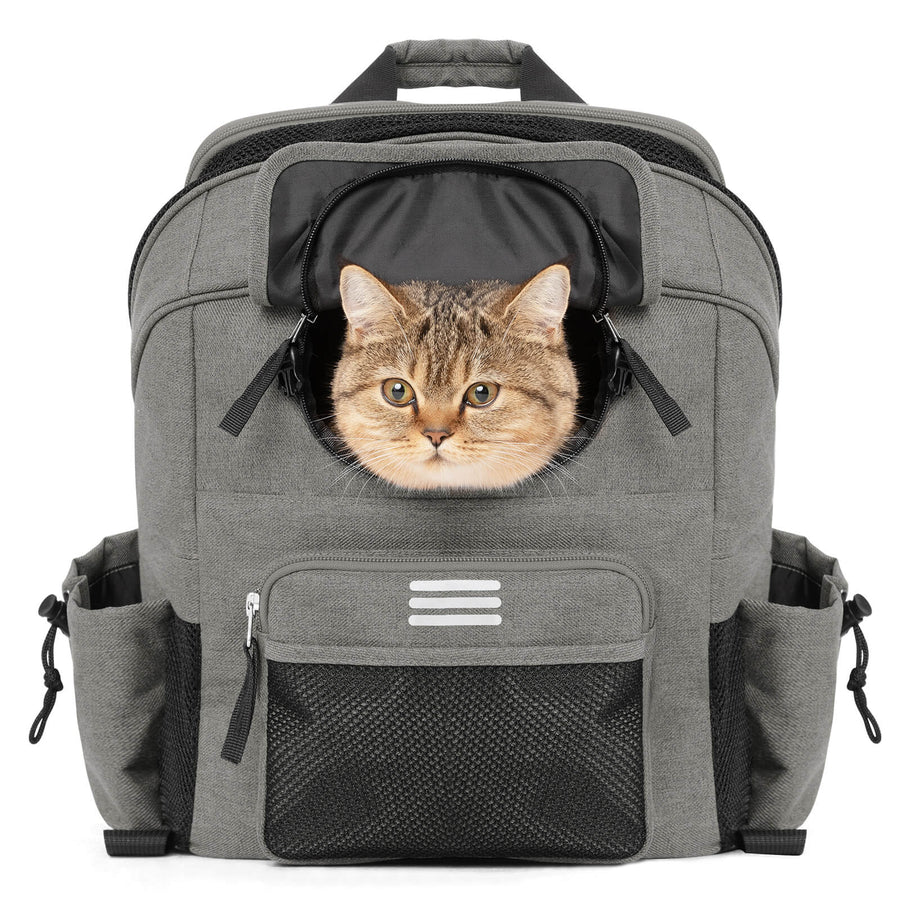 ROCKBROS 21L Fahrrad-Lenkertasche & Haustiertasche – 2-in-1 Rucksack für E-Bike & Faltrad