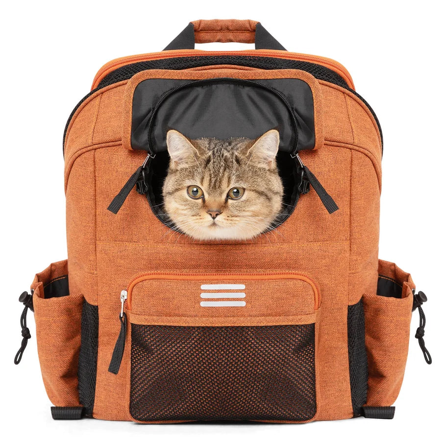 ROCKBROS 21L Fahrrad-Lenkertasche & Haustiertasche – 2-in-1 Rucksack für E-Bike & Faltrad