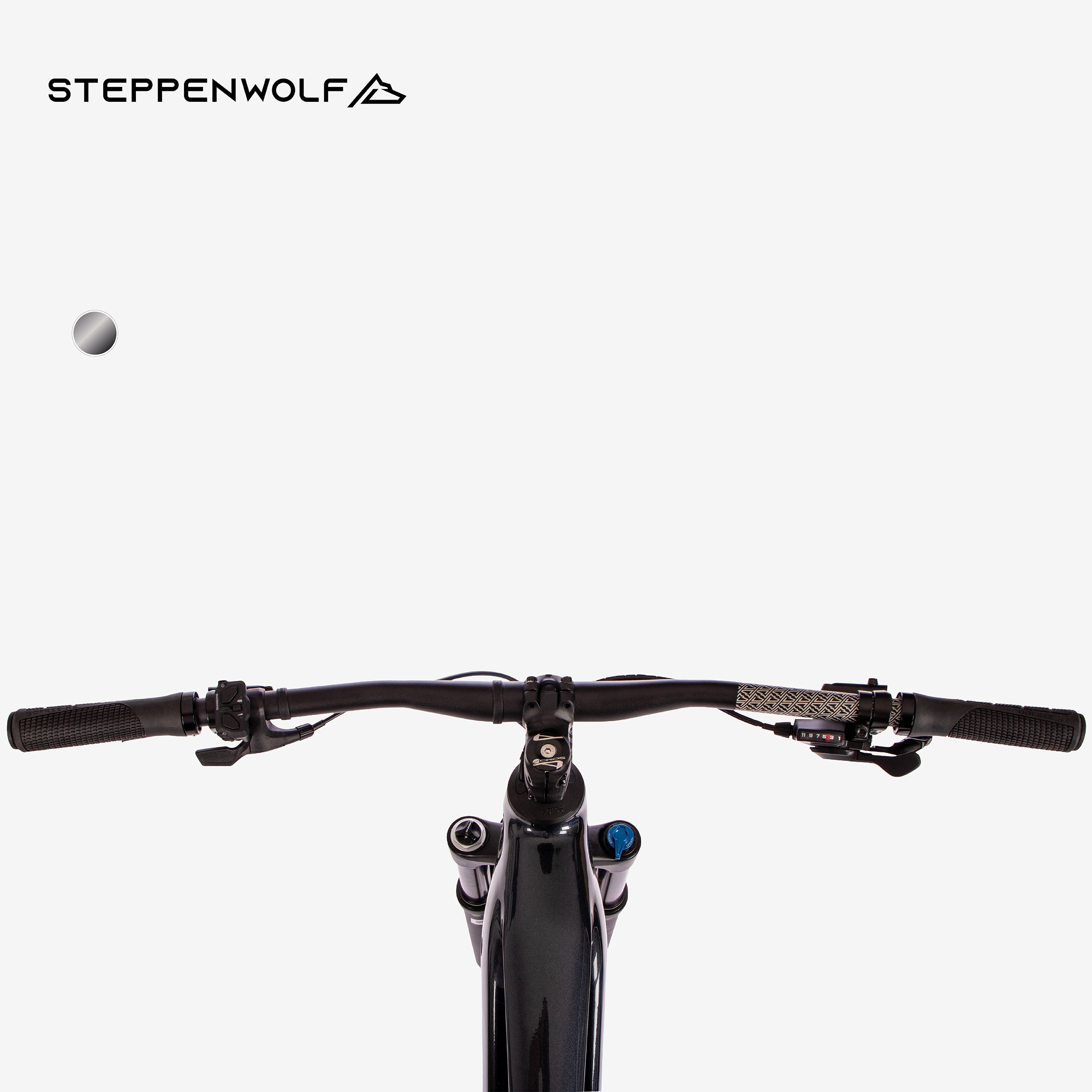 STEPPENWOLF E-BIKE TAIGA 6.0
