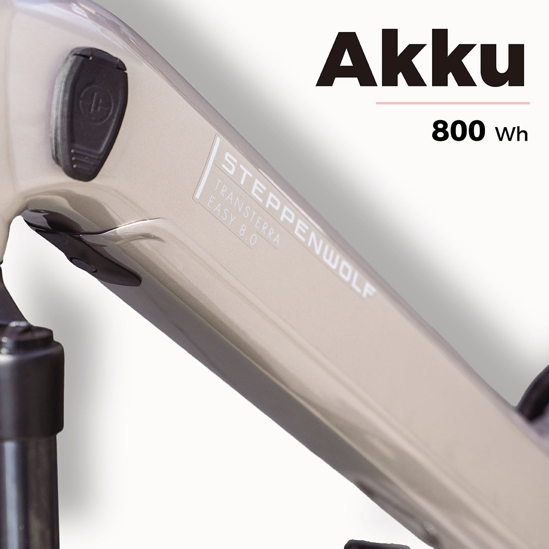 STEPPENWOLF E-BIKE TRANSTERRA EASY 8