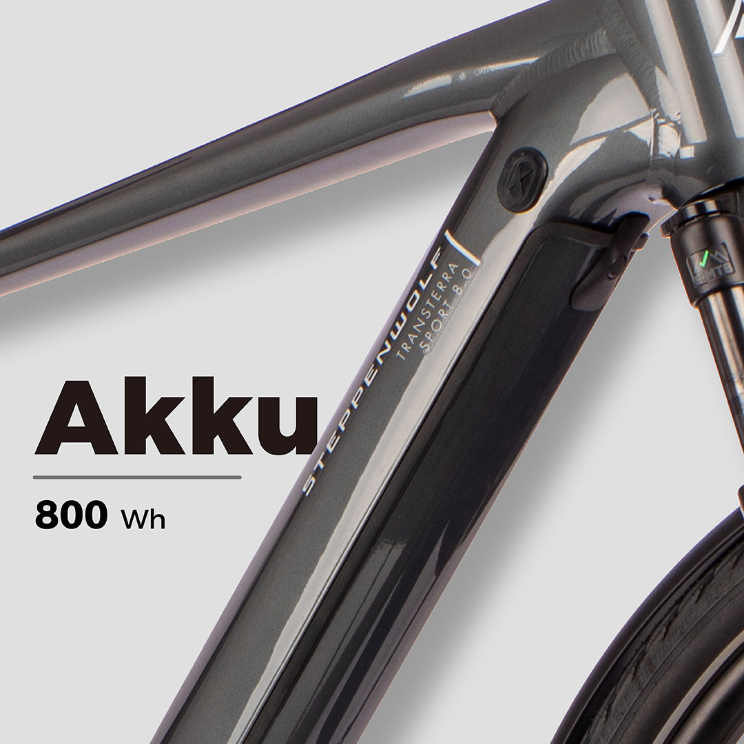 STEPPENWOLF E-BIKE TRANSTERRA SPORT 8