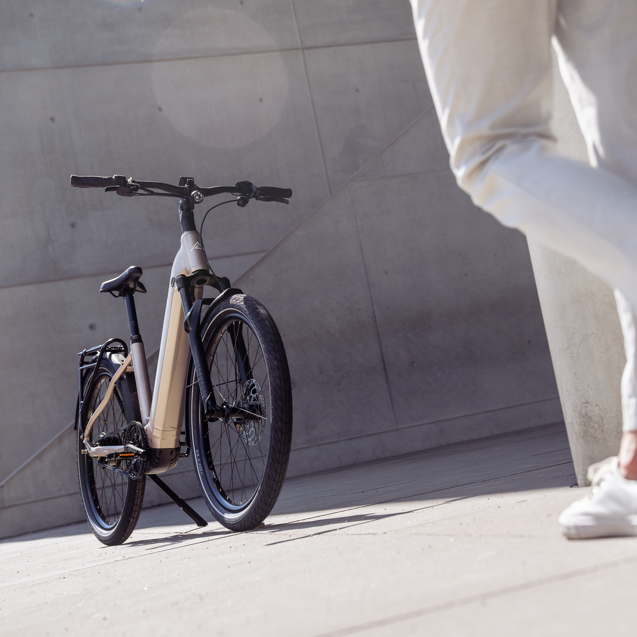 STEPPENWOLF E-BIKE TRANSTERRA EASY 8
