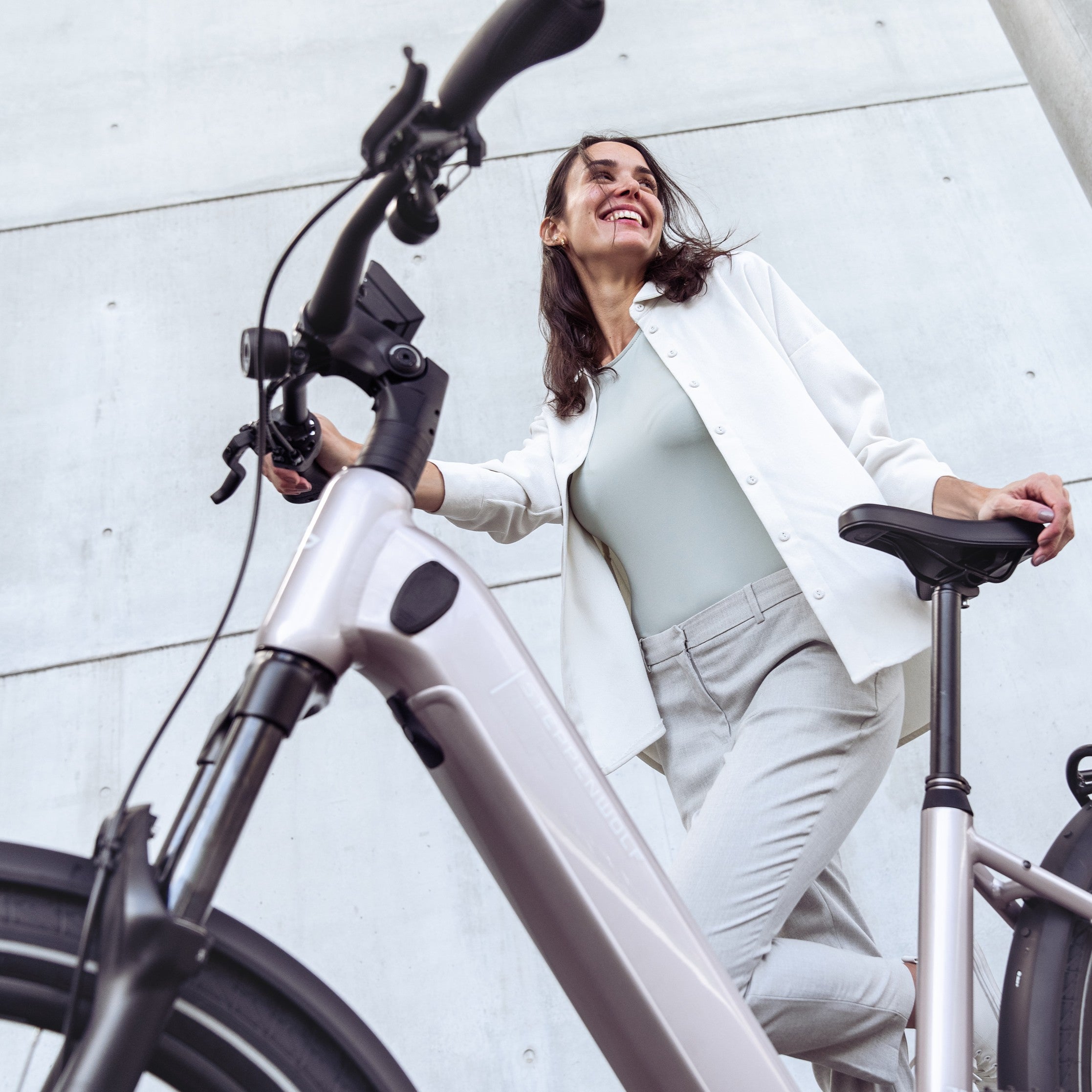 STEPPENWOLF E-BIKE TRANSTERRA EASY 8