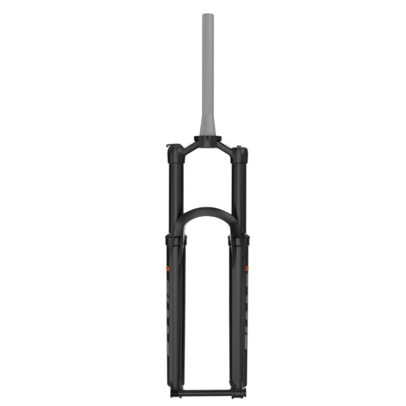 Federgabel -  für Steppenwolf E-Bikes - RST Blade 29" Federgabel TNL-R HLO