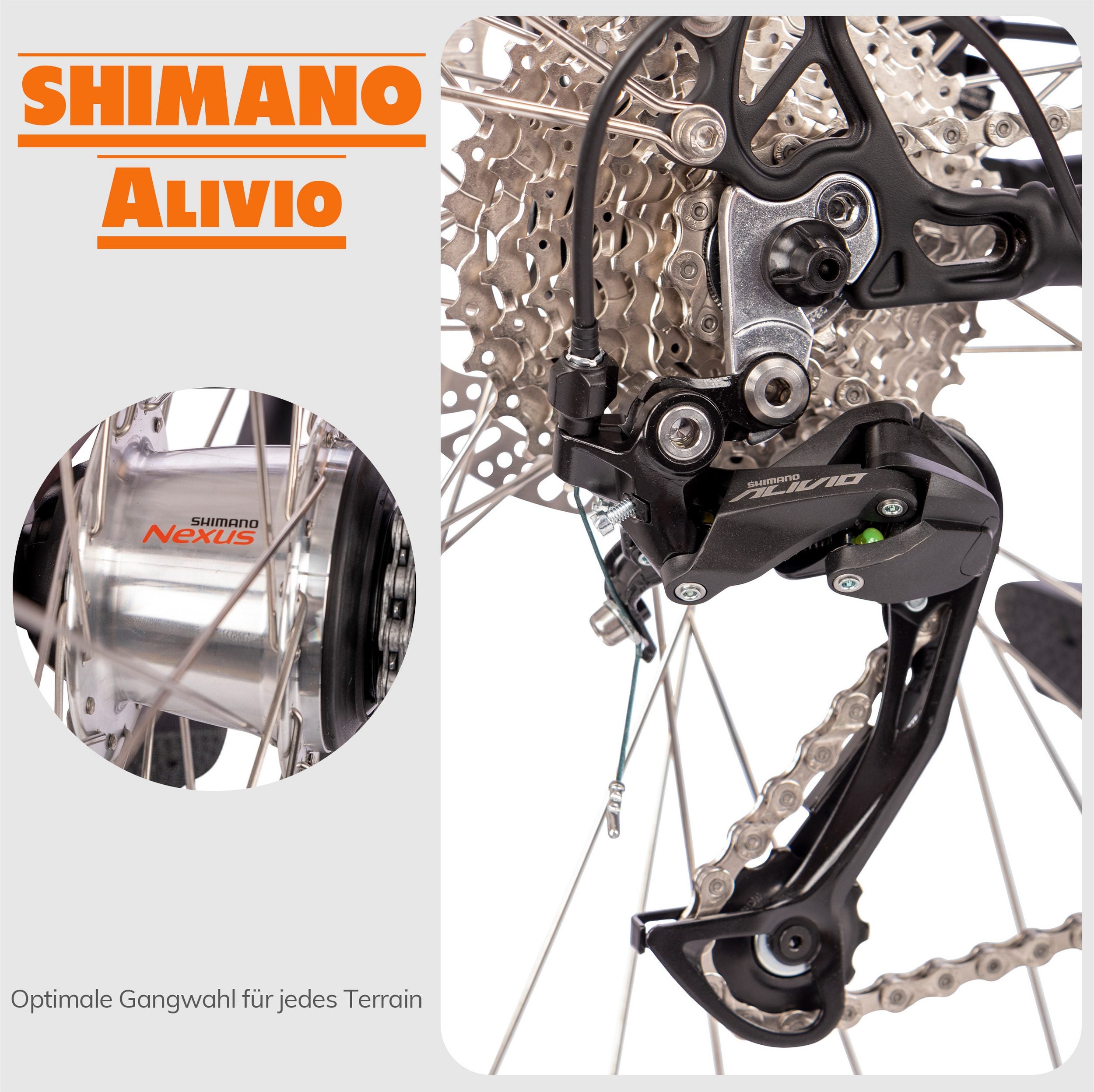 SAXXX E-Bike Deluxe Sport Wave,  Cityrad, Mittelmotor
