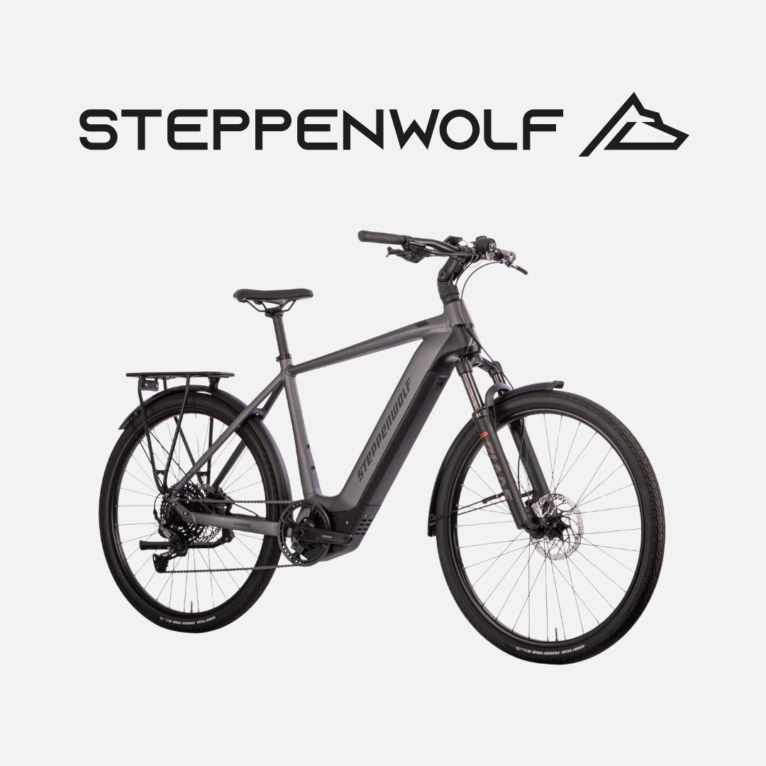 STEPPENWOLF E-BIKE TRANSTERRA SPORT 6.0