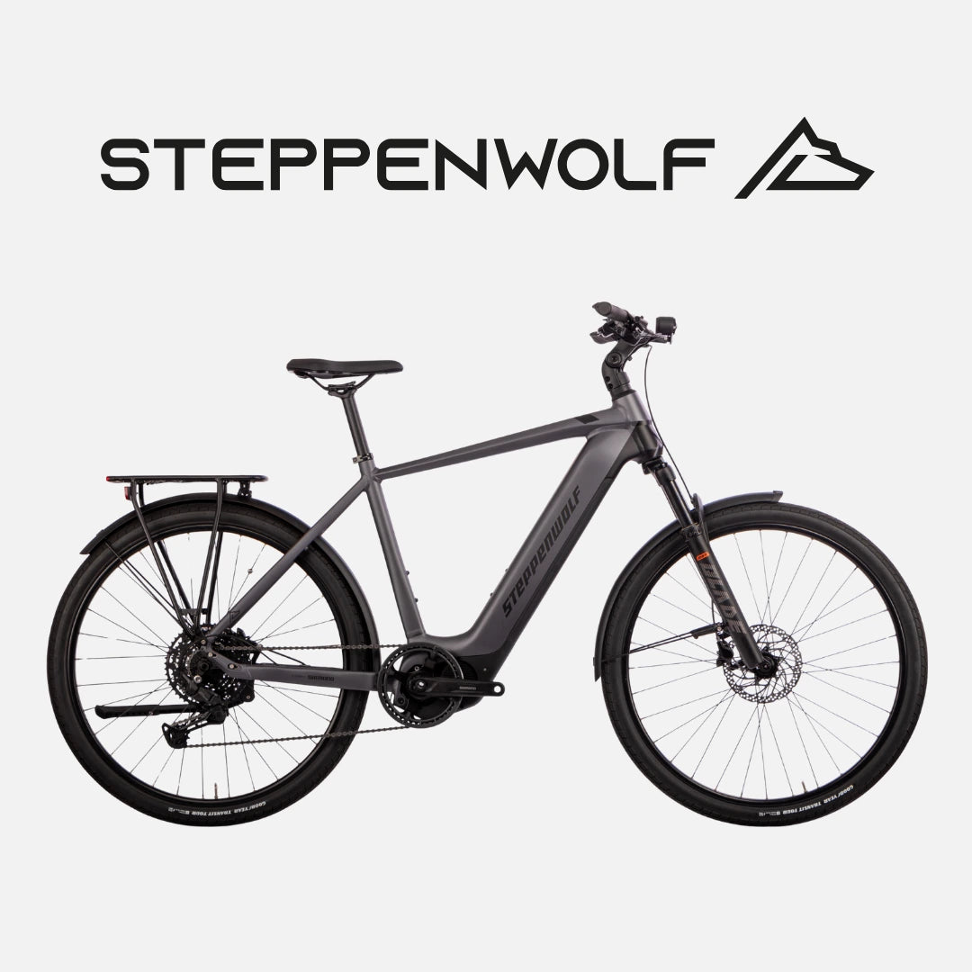 STEPPENWOLF E-BIKE TRANSTERRA SPORT 6.0