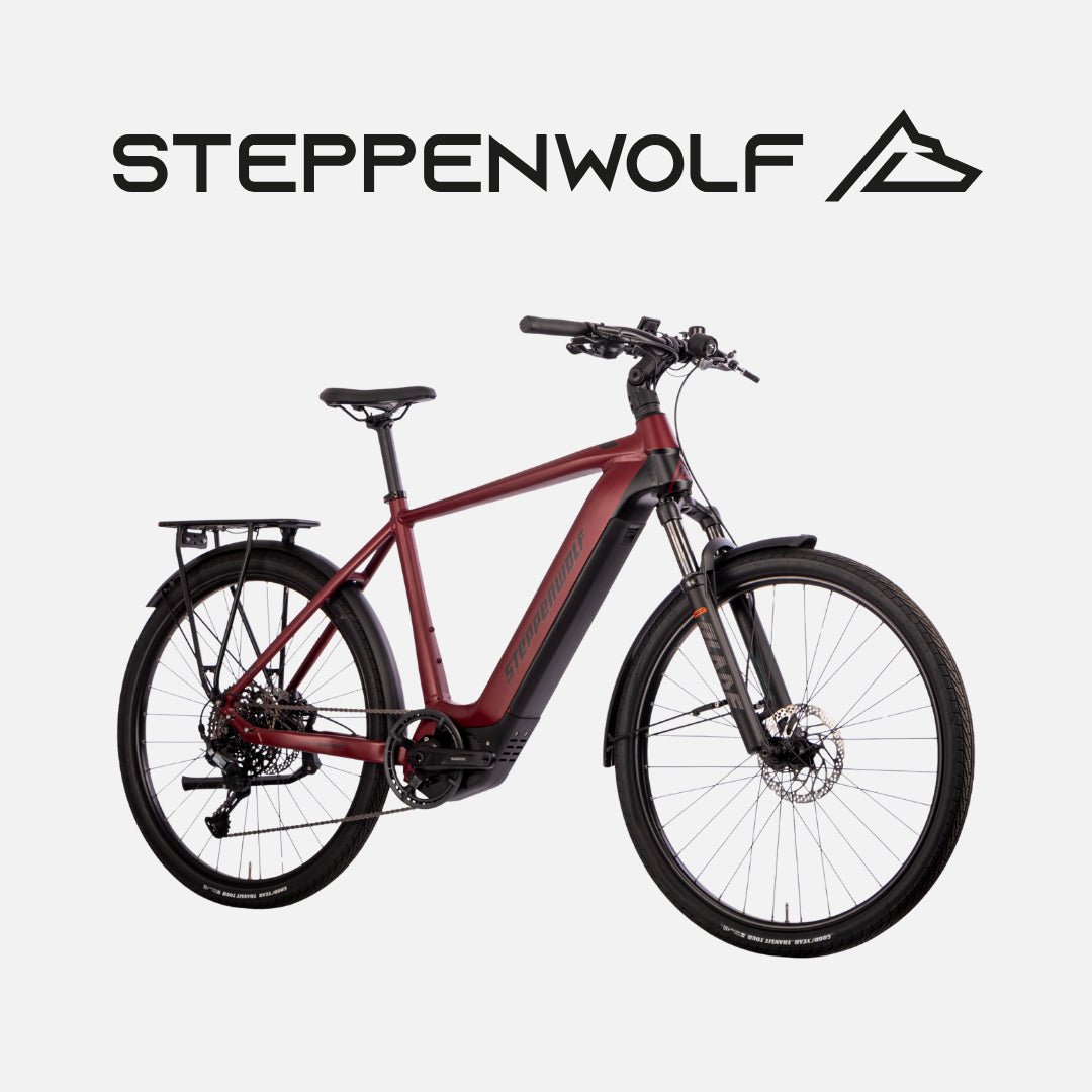 STEPPENWOLF E-BIKE TRANSTERRA SPORT 6.1