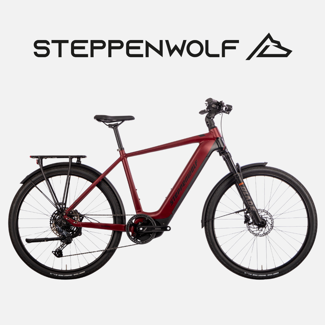 STEPPENWOLF E-BIKE TRANSTERRA SPORT 6.1