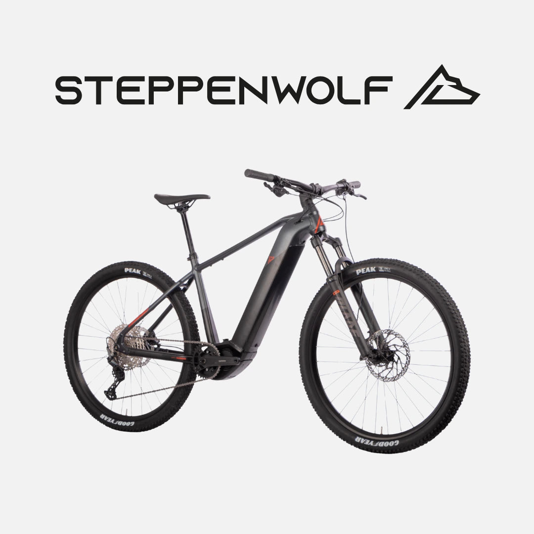 STEPPENWOLF E-BIKE TAIGA 6.0