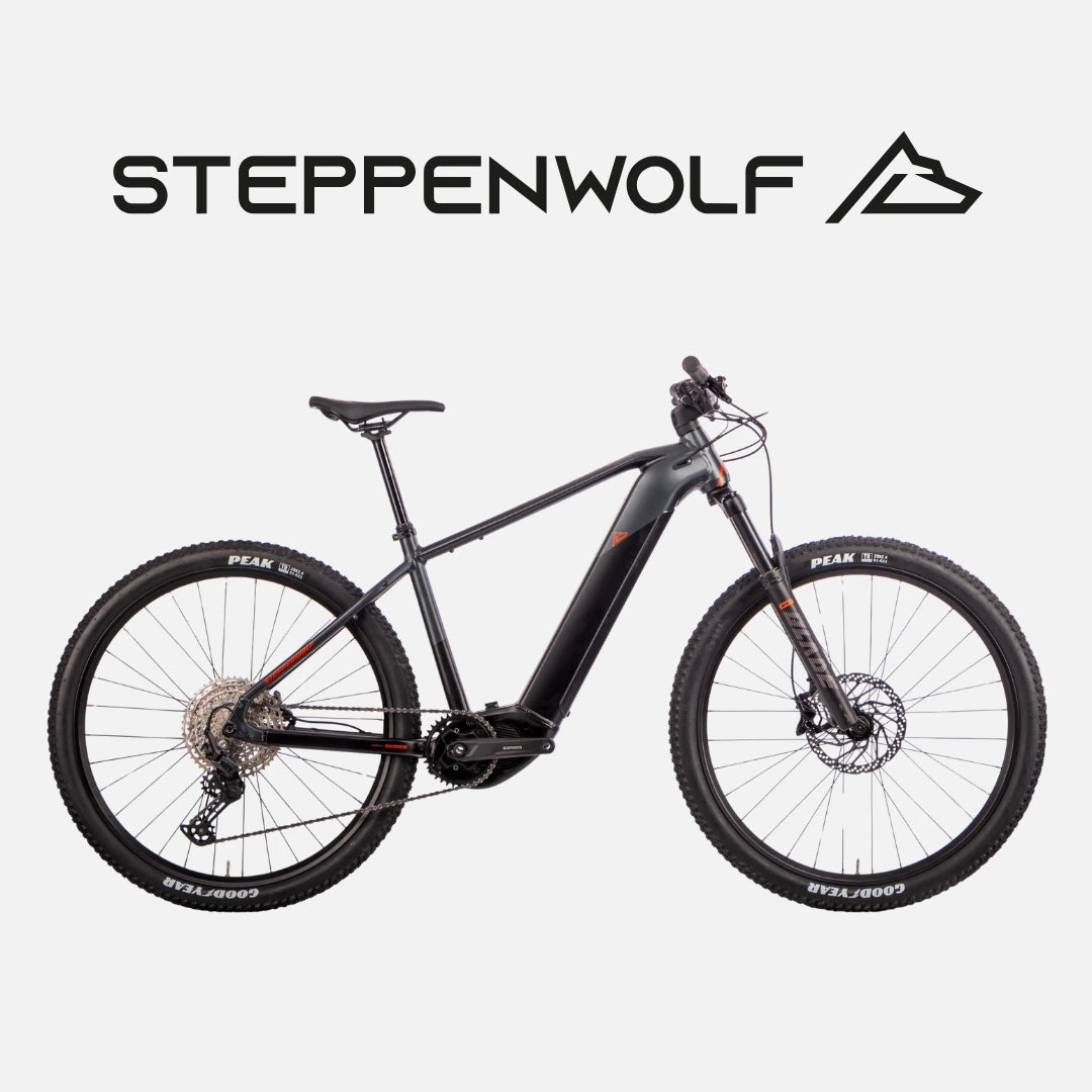 STEPPENWOLF E-BIKE TAIGA 6.0