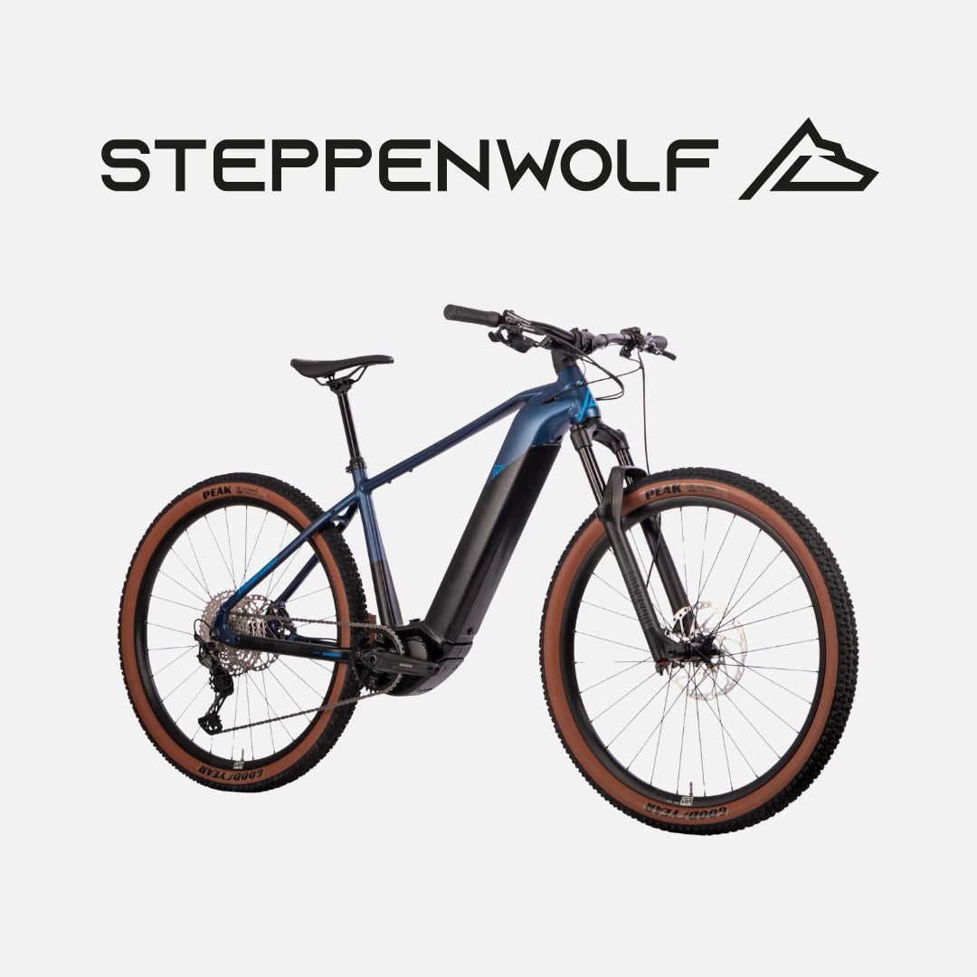 STEPPENWOLF E-BIKE TAIGA 8.0