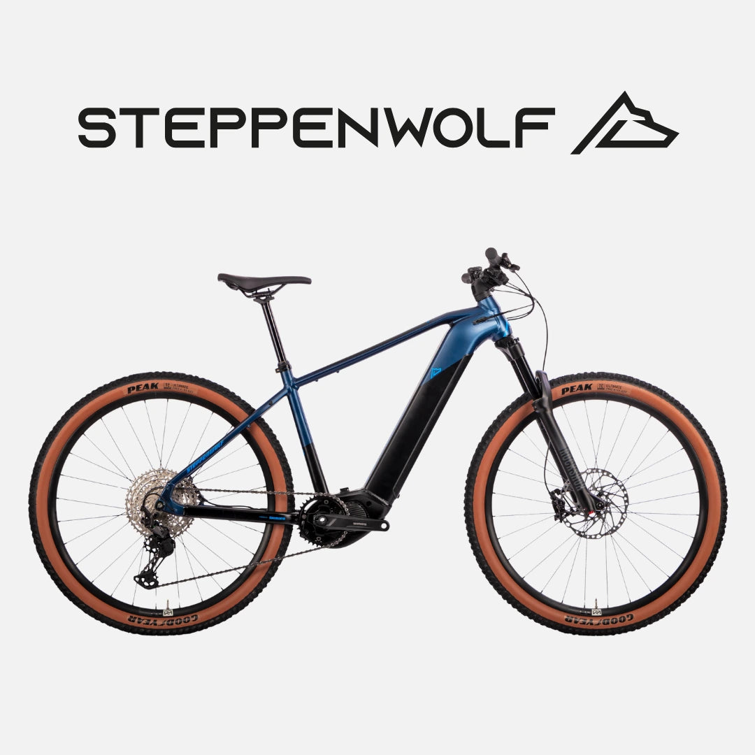 STEPPENWOLF E-BIKE TAIGA 8.0