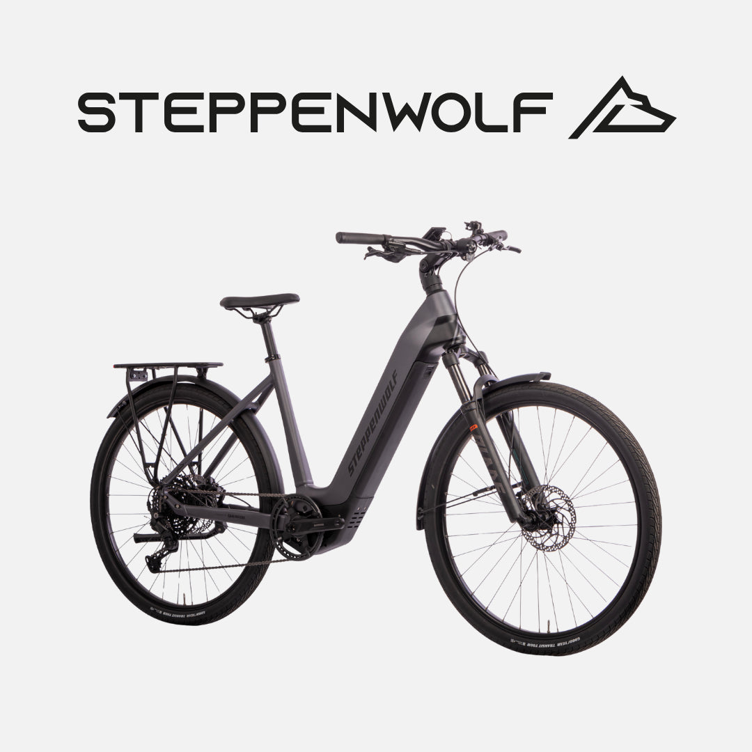 STEPPENWOLF E-BIKE TALIS WAVE 6.0