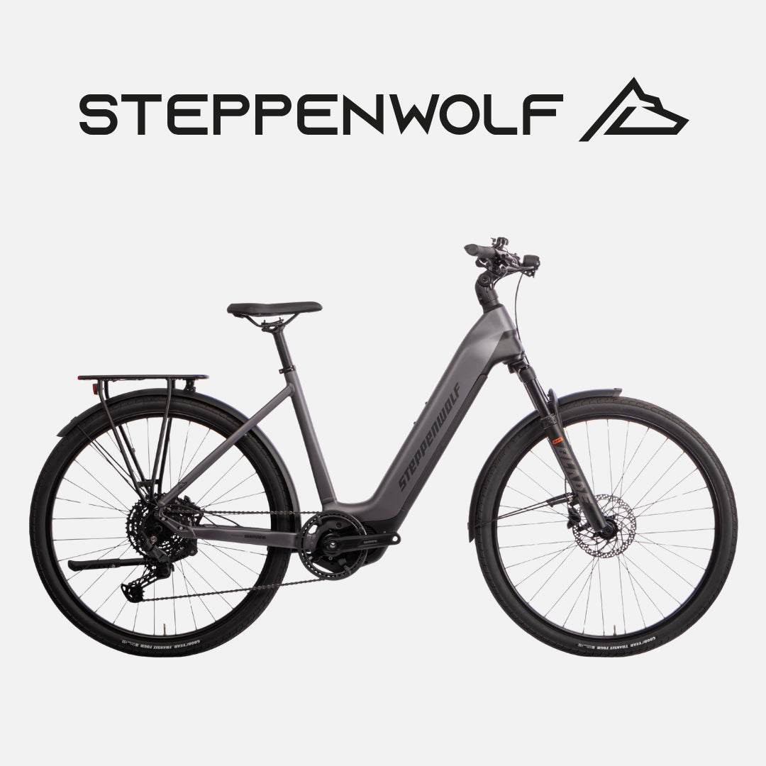 STEPPENWOLF E-BIKE TALIS WAVE 6.0
