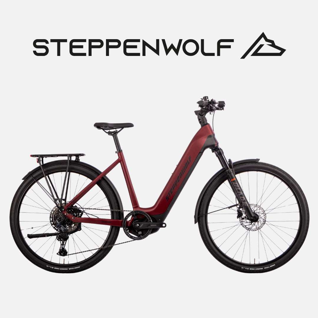 STEPPENWOLF E-BIKE TALIS WAVE 6.1