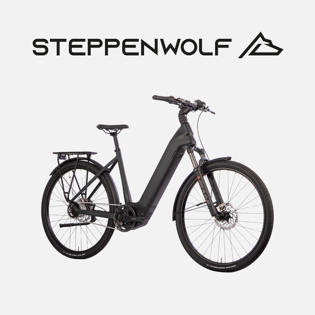 STEPPENWOLF E-BIKE TALIS WAVE 6.5