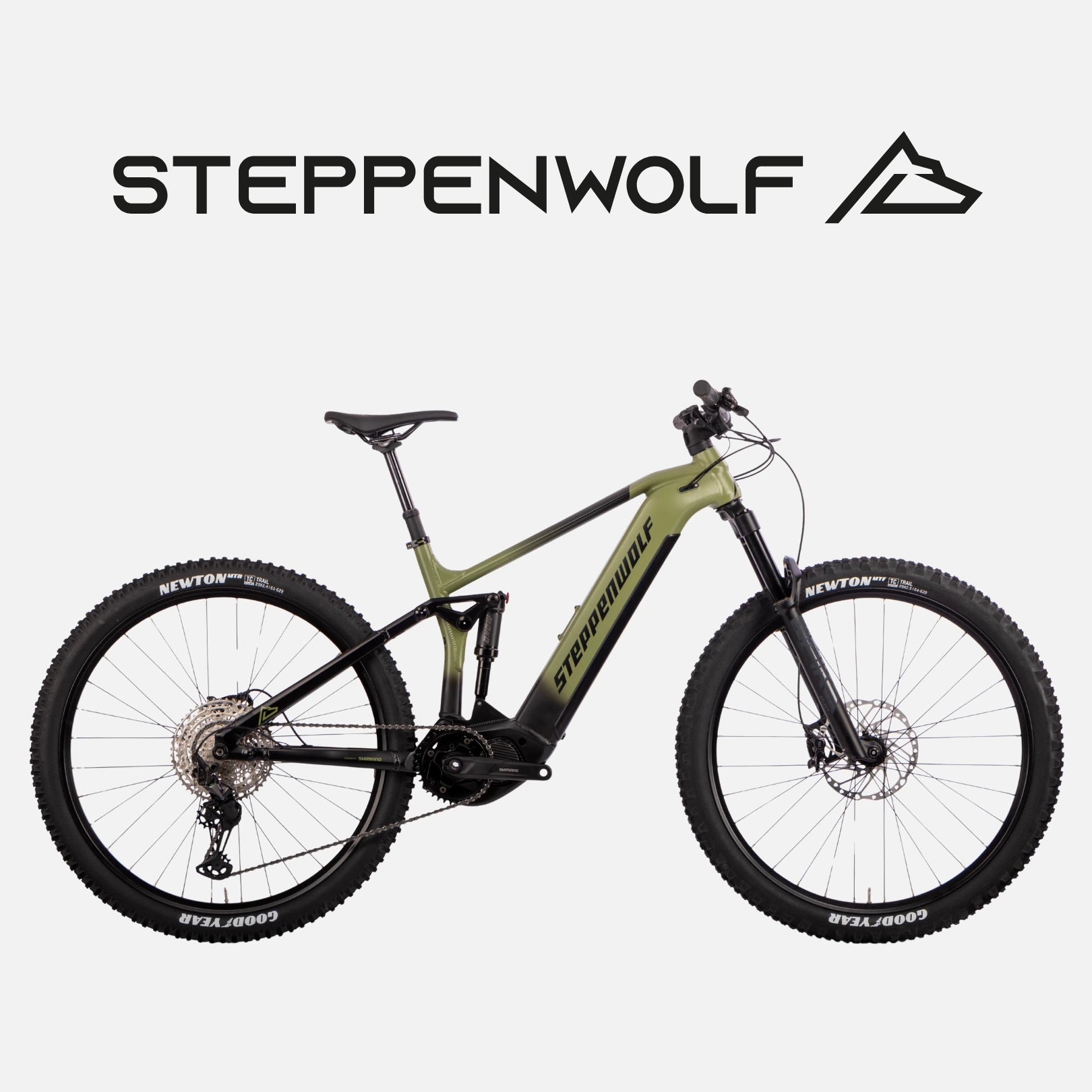 STEPPENWOLF E-BIKE TUNDRA 8.0