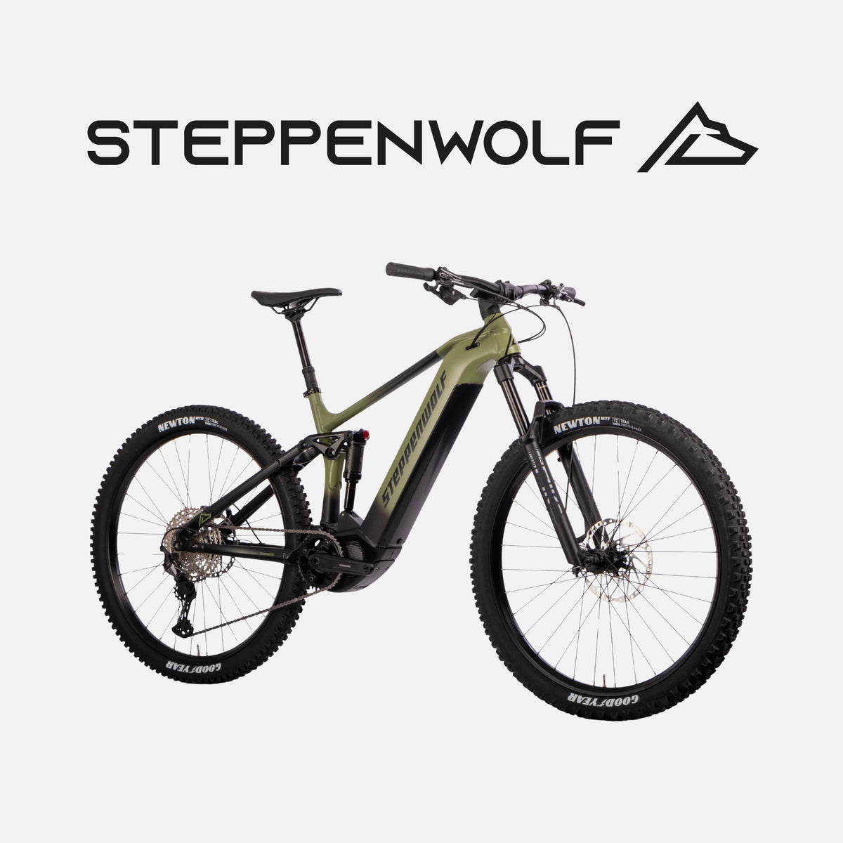 STEPPENWOLF E-BIKE TUNDRA 8.0